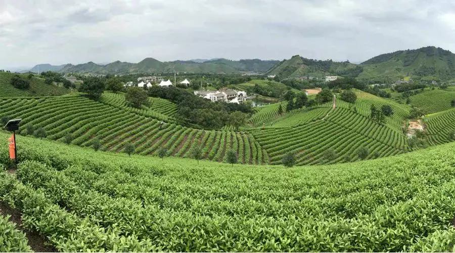 【4天五一小長假攻略】-西尼機(jī)電預(yù)祝各位“五一勞動(dòng)節(jié)”快樂！