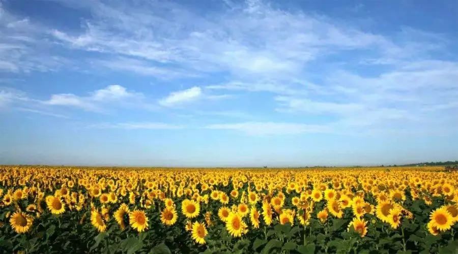 【4天五一小長假攻略】-西尼機(jī)電預(yù)祝各位“五一勞動(dòng)節(jié)”快樂！